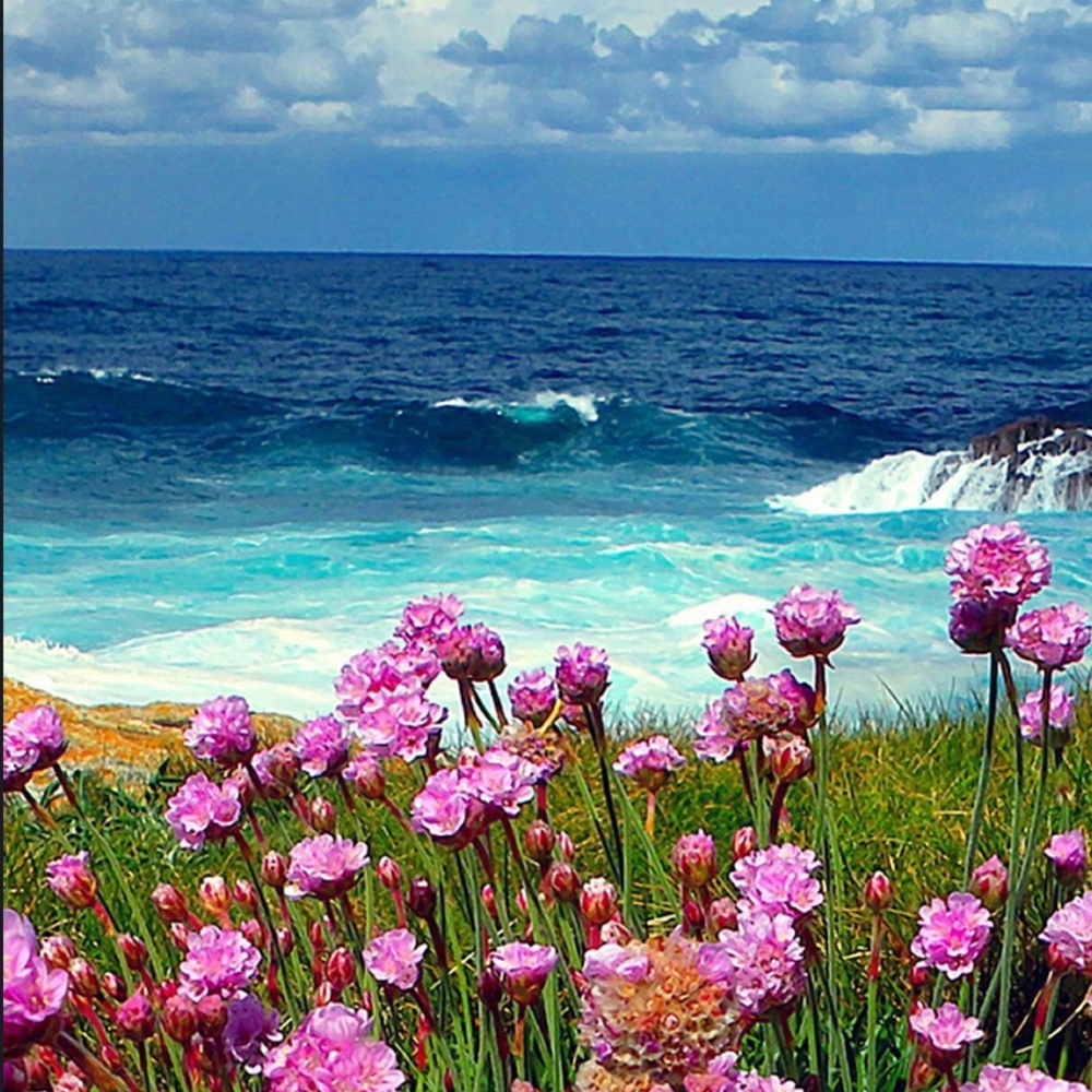 Meet your Posher, Kitty